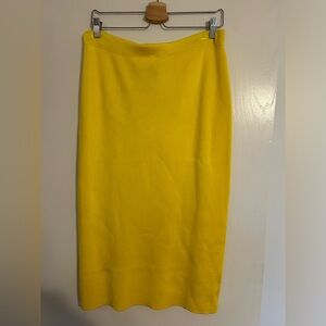 NWT J crew pencil sweater skirt size xl